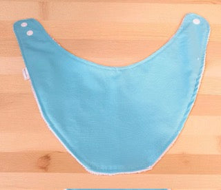 Dribble Bibs